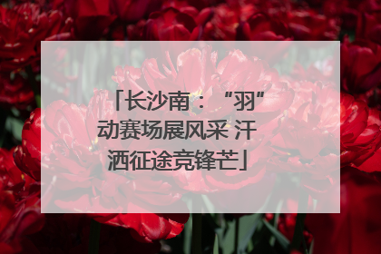 长沙南：“羽”动赛场展风采 汗洒征途竞锋芒