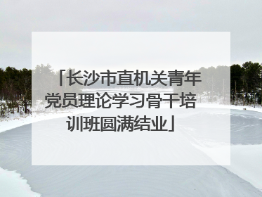 长沙市直机关青年党员理论学习骨干培训班圆满结业