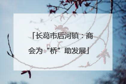长葛市后河镇：商会为“桥”助发展