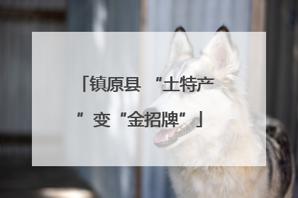 镇原县 “土特产”变“金招牌”