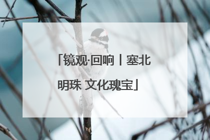 镜观·回响丨塞北明珠 文化瑰宝