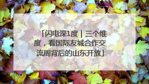 闪电深1度｜三个维度，看国际友城合作交流周背后的山东开放