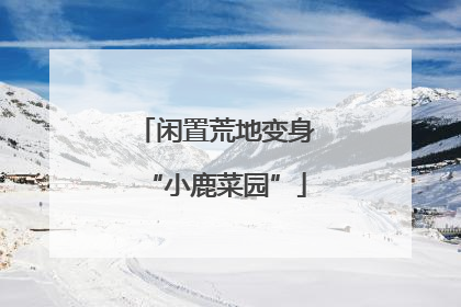 闲置荒地变身“小鹿菜园”
