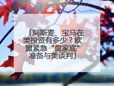 阿斯麦、宝马在美投资有多少？欧盟紧急“盘家底”准备与美谈判