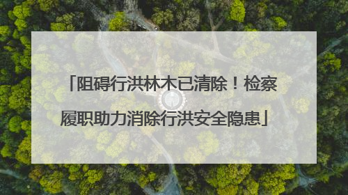 阻碍行洪林木已清除！检察履职助力消除行洪安全隐患