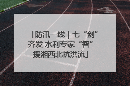 防汛一线｜七“剑”齐发 水利专家“智”援湘西北抗洪流
