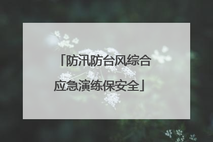 防汛防台风综合应急演练保安全