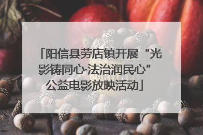 阳信县劳店镇开展“光影铸同心·法治润民心”公益电影放映活动