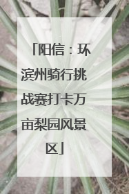 阳信：环滨州骑行挑战赛打卡万亩梨园风景区