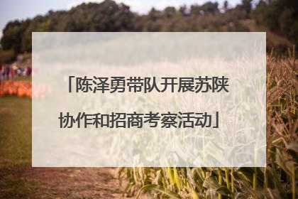 陈泽勇带队开展苏陕协作和招商考察活动