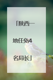 陕西一地任免4名局长