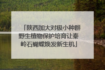 陕西加大对极小种群野生植物保护培育让秦岭石蝴蝶焕发新生机