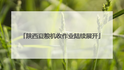 陕西夏粮机收作业陆续展开