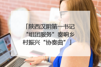陕西汉阴第一书记“组团服务”奏响乡村振兴“协奏曲”
