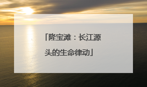 隆宝滩：长江源头的生命律动