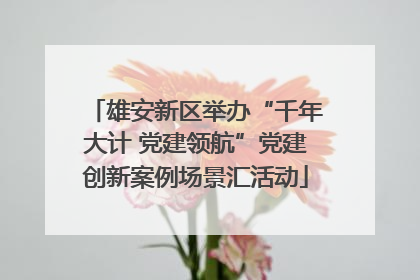 雄安新区举办“千年大计 党建领航”党建创新案例场景汇活动