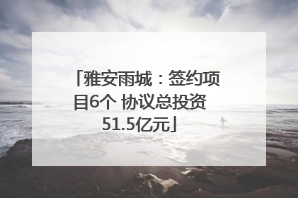 雅安雨城：签约项目6个 协议总投资51.5亿元