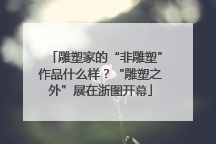 雕塑家的“非雕塑”作品什么样？“雕塑之外”展在浙图开幕