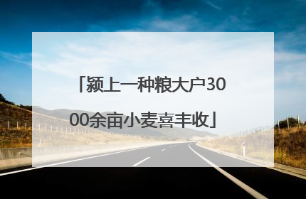 颍上一种粮大户3000余亩小麦喜丰收