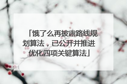饿了么再披露路线规划算法，已公开并推进优化四项关键算法