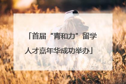 首届“青和力”留学人才嘉年华成功举办