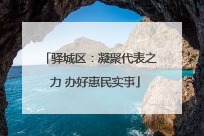 驿城区：凝聚代表之力 办好惠民实事