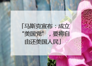 马斯克宣布：成立“美国党”，要将自由还美国人民