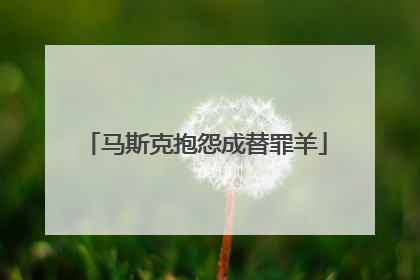 马斯克抱怨成替罪羊