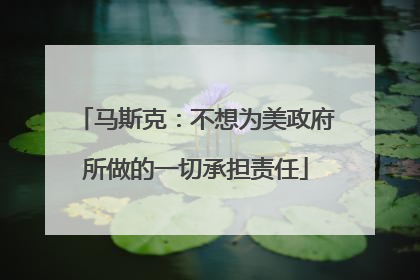 马斯克：不想为美政府所做的一切承担责任