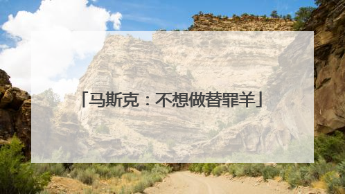 马斯克：不想做替罪羊