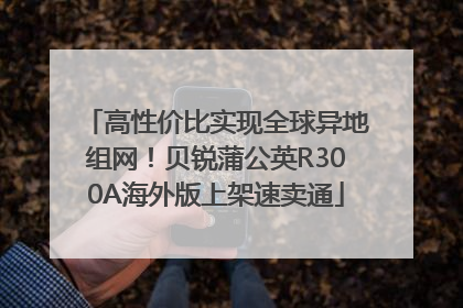 高性价比实现全球异地组网！贝锐蒲公英R300A海外版上架速卖通