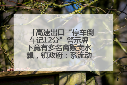 高速出口“停车倒车记12分”警示牌下竟有多名商贩卖水瓢，镇政府：系流动摊位，已多次劝离