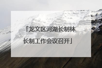 龙文区河湖长制林长制工作会议召开