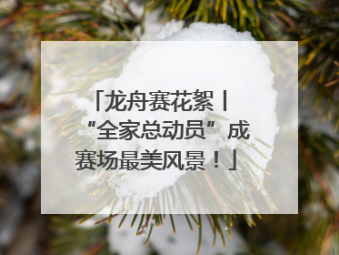 龙舟赛花絮丨 “全家总动员”成赛场最美风景！
