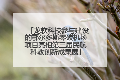 龙软科技参与建设的鄂尔多斯零碳机场项目亮相第三届民航科教创新成果展