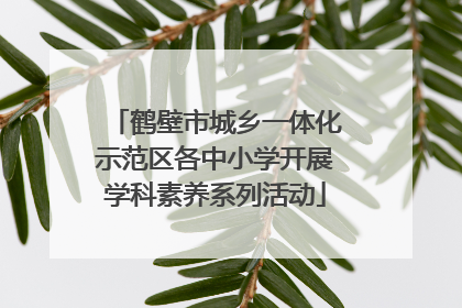 鹤壁市城乡一体化示范区各中小学开展学科素养系列活动