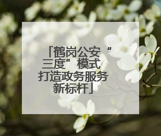 鹤岗公安“三度”模式 打造政务服务新标杆