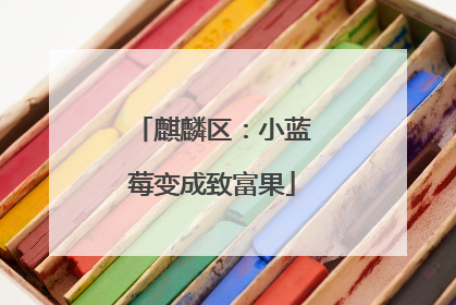 麒麟区：小蓝莓变成致富果