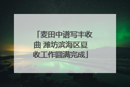麦田中谱写丰收曲 潍坊滨海区夏收工作圆满完成