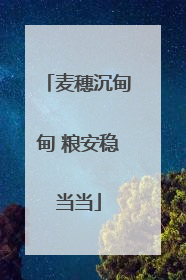 麦穗沉甸甸 粮安稳当当