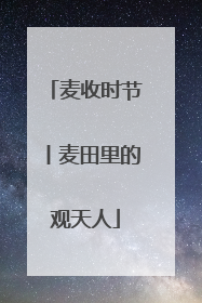 麦收时节丨麦田里的观天人