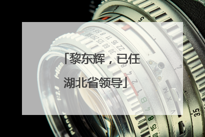 黎东辉，已任湖北省领导