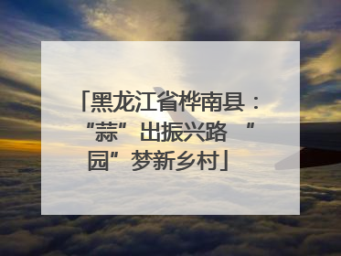 黑龙江省桦南县：“蒜”出振兴路 “园”梦新乡村