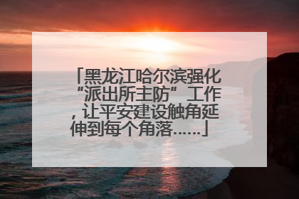黑龙江哈尔滨强化“派出所主防”工作，让平安建设触角延伸到每个角落……
