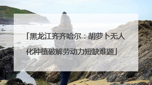 黑龙江齐齐哈尔：胡萝卜无人化种植破解劳动力短缺难题