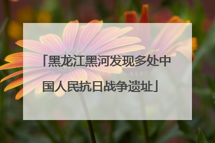 黑龙江黑河发现多处中国人民抗日战争遗址