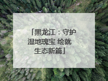 黑龙江：守护湿地瑰宝 绘就生态新篇