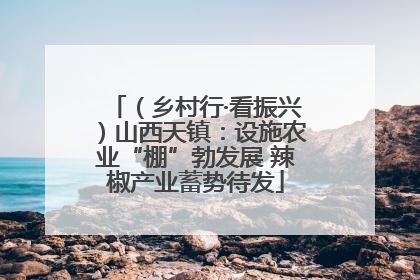 （乡村行·看振兴）山西天镇：设施农业“棚”勃发展 辣椒产业蓄势待发