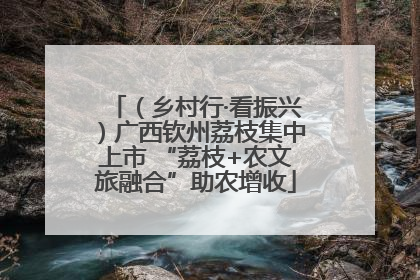 （乡村行·看振兴）广西钦州荔枝集中上市 “荔枝+农文旅融合”助农增收