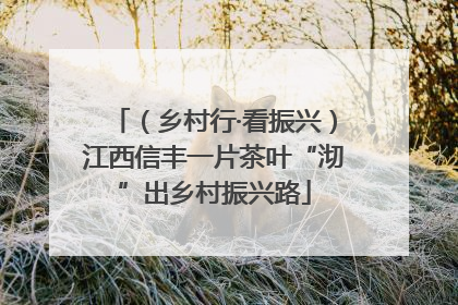 （乡村行·看振兴）江西信丰一片茶叶“沏”出乡村振兴路